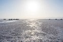 Wir sind nicht alleine  vorm Sonnenuntergang am Salzsee. Andere Gruppen haben Kaltgetränk dabei, wir nicht ...