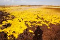 Schwefel, Eisen und aktive Auswürfe haben hier eine einmalige Landschaft geschaffen.