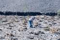 Die Weinreben hier werden in zylindrischer Form beschnitten. Es ist windig und sandig, somit reifen sie in Kuhlen. Zum Wasser müssen sich die Wurzeln tief in der Erde graben. Ergebnis ein einmaliger intensiver Geschmack, eine tiefe gelbe Farbe.