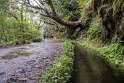 Vom Forsthaus Rabaçal (auch einem netten Cafe) laufen wir neben <a href="https://de.wikipedia.org/wiki/Levada" target="_blank">Levadas</a>  , dem Wasserversorgungssystem auf der Insel, in Richtung  Risco-Wasserfall.