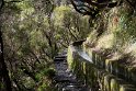 Madeira 2018-01-15 15-20-00 (DSC_0652)