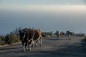 Madeira 2018-01-15 17-40-16 (DSC_0672)