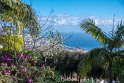 Madeira 2018-01-16 14-35-00 (DSC_0889)