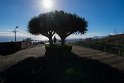 Madeira 2018-01-16 15-34-24 (DSC_8494)