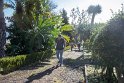 Madeira 2018-01-16 15-41-30 (DSC04359)