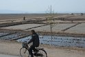 Neugierig beäugt (unser KITC Bus war weithin zu erkennen), passierten wir viele Landwirtschaftliche Flächen, ebenso Reisanbau.