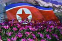 Was treibt einen nach Nordkorea ? Das noch am meisten abgeschottete Land der Welt zu besuchen und von dort mit eigenen Erfahrungen zurückzukehren. Gesehen haben wir sicherlich nur das nette und moderne Nordkorea, für uns ausgesucht und präsentiert. Man gab sich Mühe unseren Aufenthalt sehr angenehm zu gestalten. Das Essen war sehr reichhaltig, verrückt wenn man bedenkt, dass in anderen Teilen des Landes die Menschen an Mangelversorgung leiden. Mich hat gewundert, dass wir häufig auf Strassen spazieren gehen durften, bei der Blumenaustellung und abends beim Feuerwerk waren wir einzeln mittendrin im Trubel. Ebenso etwas Besonderes der Besuch und die Fahrt mit der U-Bahn. Akzeptieren muß man die auffällig unauffälligen Personen mit Sonnnebrille oder Buch, die immer dann mit etwas Abstand um uns herum standen wenn wir an öffentlichen Plätzen oder Parks unterwegs waren und sie erzeugten bei mir auch ein ungutes Gefühl.
