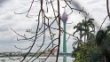 Im Hintergrund der noch im Bau befindliche Lotus Tower, die Lotus Blume ist das Wahrzeichen vonSri Lanka.