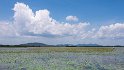 An einem der großen künstlichen Seen vorbei. Frühere Herrscher haben große Seen anlegen lassen um das Wasser der Regenzeit zu sammeln.