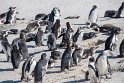 Suedafrika 2018-09-09 14-55-08 (DSC_3991)