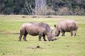 Suedafrika 2018-09-15 14-10-29 (DSC_4792)