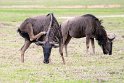 Suedafrika 2018-09-15 14-14-26 (DSC_4805)