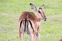 Suedafrika 2018-09-15 14-38-21 (DSC_4851)