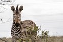 Suedafrika 2018-09-15 15-52-40 (DSC_5043)