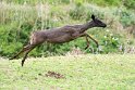 Suedafrika 2018-09-15 16-44-05 (DSC_5175)