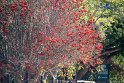 Suedafrika 2018-09-16 16-07-36 (DSC_5581)