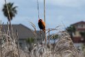 Suedafrika 2018-09-18 14-38-35 (DSC_5645)