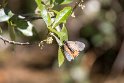 Suedafrika 2018-09-20 14-21-26 (DSC_5787)