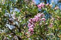 Suedafrika 2018-09-20 14-46-03 (DSC_5816)