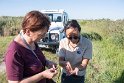 Nächster Tag, gebuchte ganztages Jeep Safari auf Deutsch durch die Camargue. Alle Jeeps werden mit 6-8 Englisch sprechenden Gästen vollgepackt, wir sollen warten. Es kommt ein Jeep und wir sind die einzigen Mitfahrer, was ein Glück. Da einfacher für unseren Guide machen wir die Tour auf Englisch. Hier Reis aus der Camargue. Der Reis hilft beim Entsalzen des durch den Staudamm der Rhone eindringenden Meerwassers.