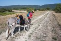 Wir gehen Wandern mit einem Esel (<a href="http://campingroumavagi.blogspot.com/" target="_blank">hier</a>) . die deutsche Besitzerin warnt uns vor dem störrischen Esel mit dem Gemüt eines 5 jährigen Kindes.