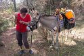 "Ciboulette", Schnittlauch findet uns (und vermutlich auch die mitgebrachten Möhren) ganz prima und knufft häufig und folgt ganz freiwillig. Der Hund bekommt Wasser aus der improvisierten Tütentränke.