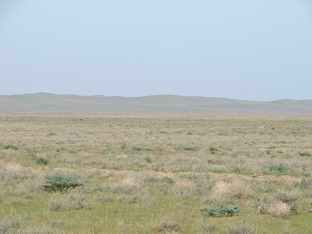 DSC01030.JPG - ...durch die Steppe....