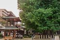 Der 1250 Jährige Ginkgobaum am Hida-Kokubunji-Tempel.